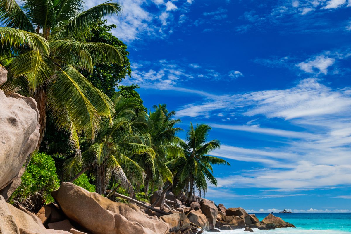 Voyage tout inclus aux Seychelles : Quel est le prix en 2025 ?