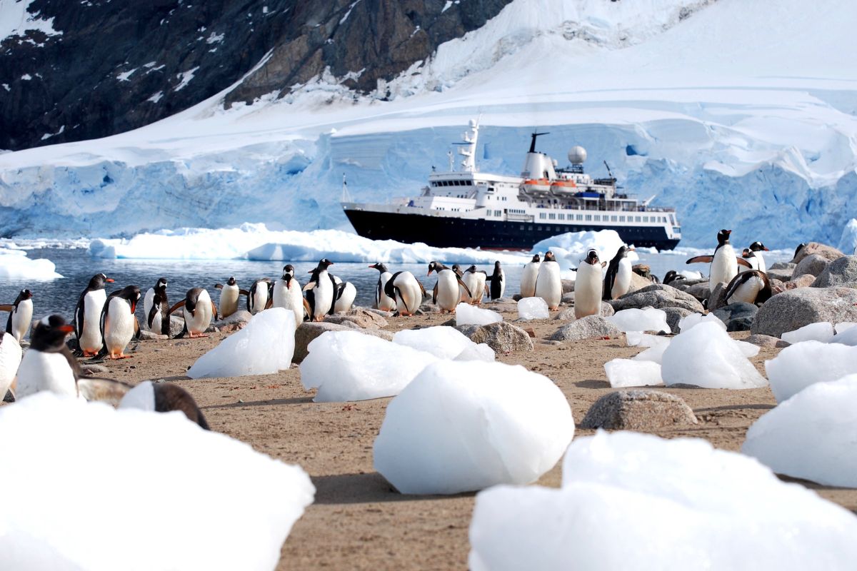 Quel prix espérer pour un voyage en Antarctique en 2025 ?