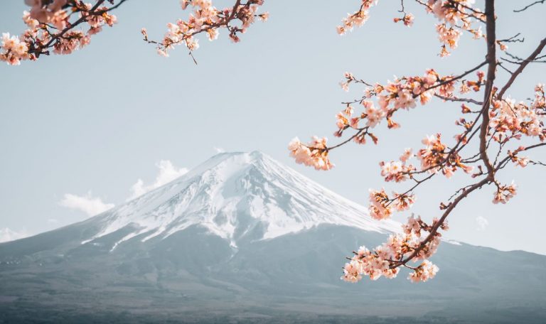 Voyage tout compris au Japon : Quel prix espérer ?