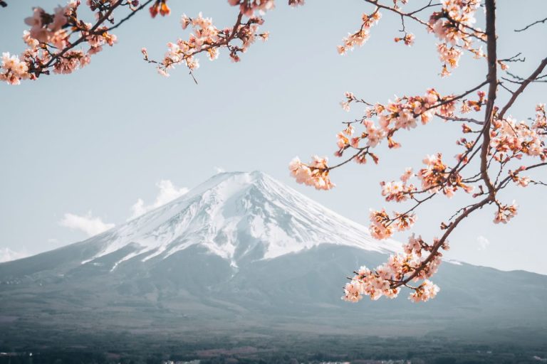 Voyage tout compris au Japon : Quel prix espérer ?