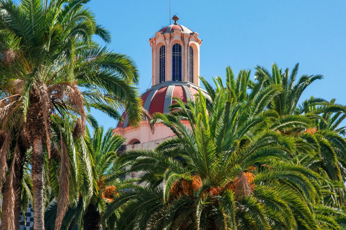 Tenerife en Décembre : Quel climat espérer ?