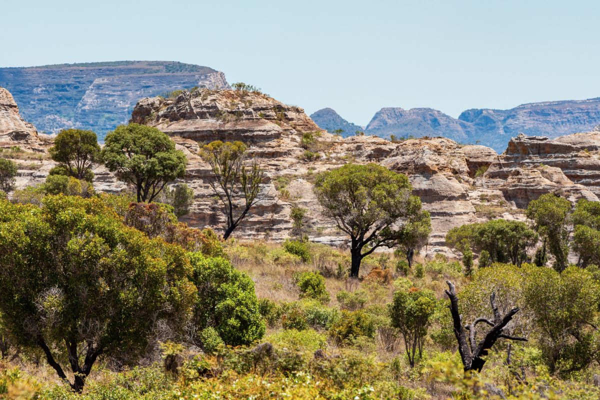 Top 5 des plus beaux endroits à voir la première fois à Madagascar