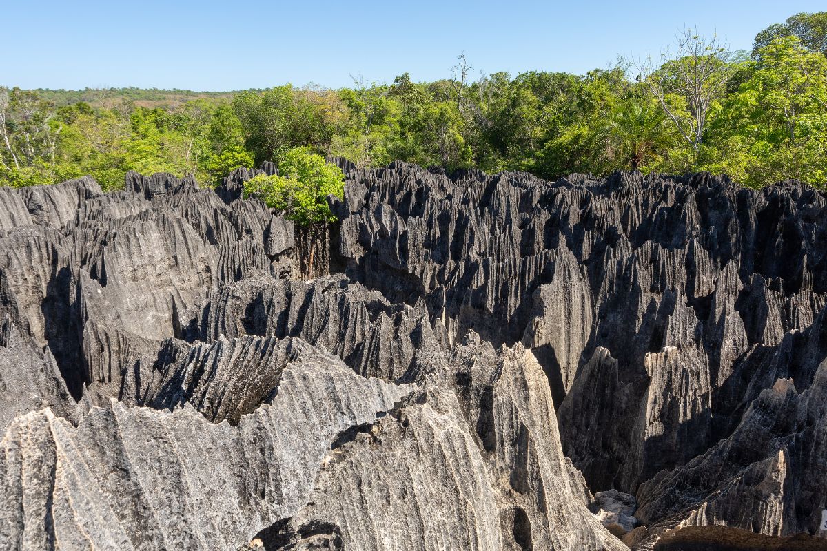 Top 5 des plus beaux endroits à voir la première fois à Madagascar