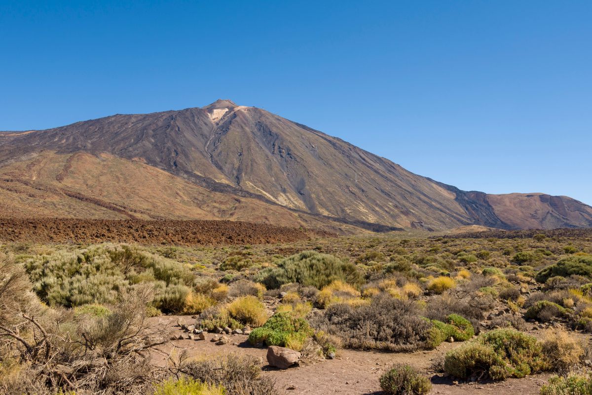 Tenerife en Décembre : Quel climat espérer ?