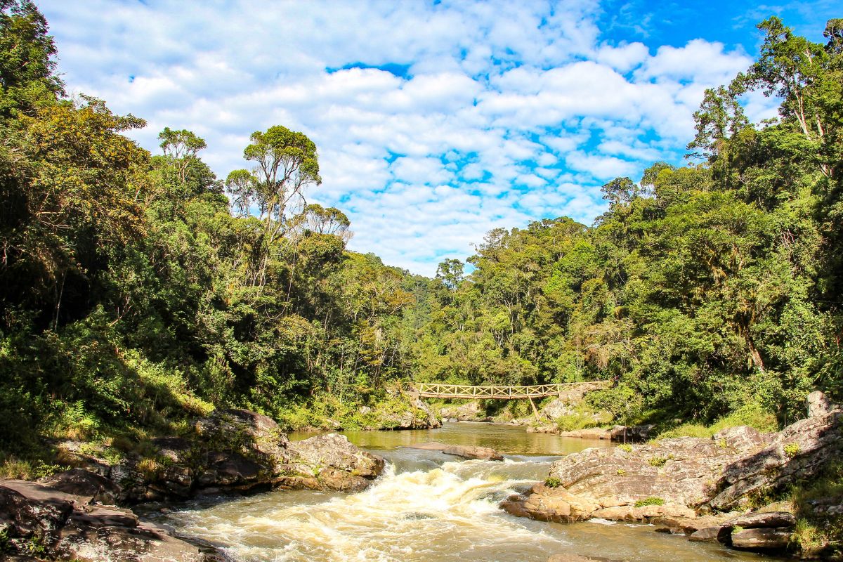 Top 5 des plus beaux endroits à voir la première fois à Madagascar