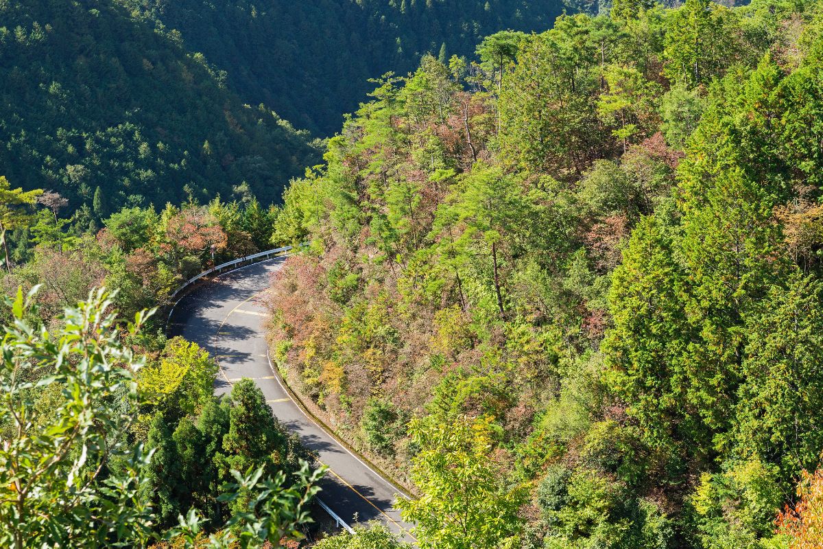 Voyage au Japon en famille : Le meilleur itinéraire pour 2025