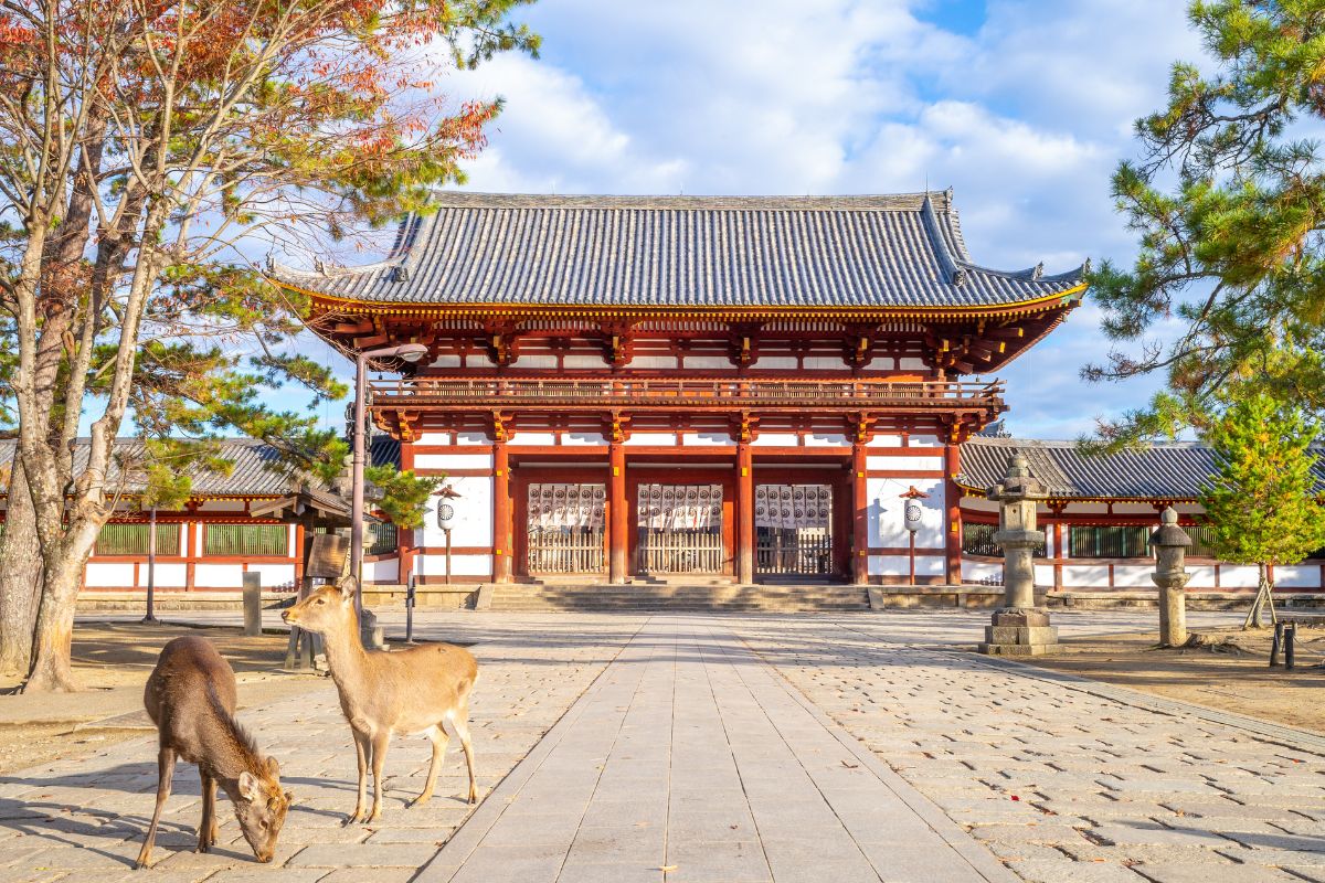 Voyage au Japon en famille : Le meilleur itinéraire pour 2025