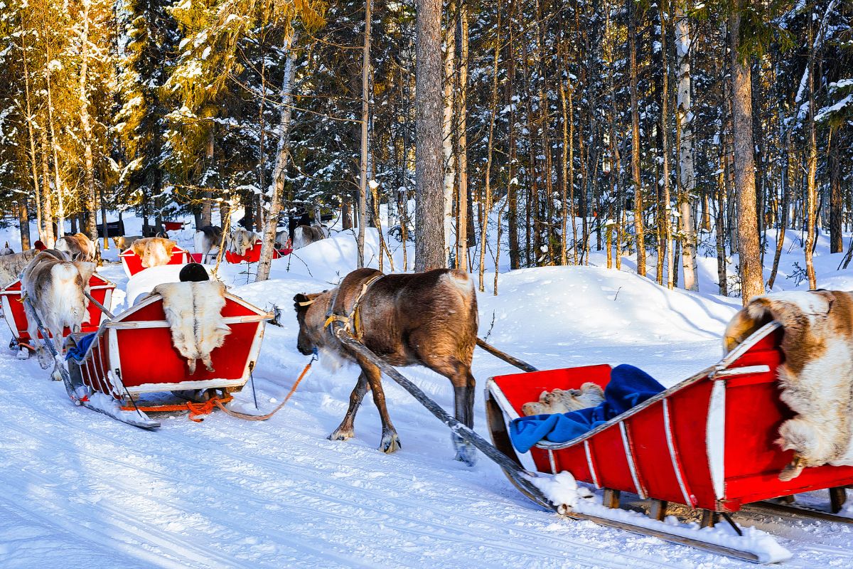 Les 9 meilleurs endroits pour passer un Noël seul