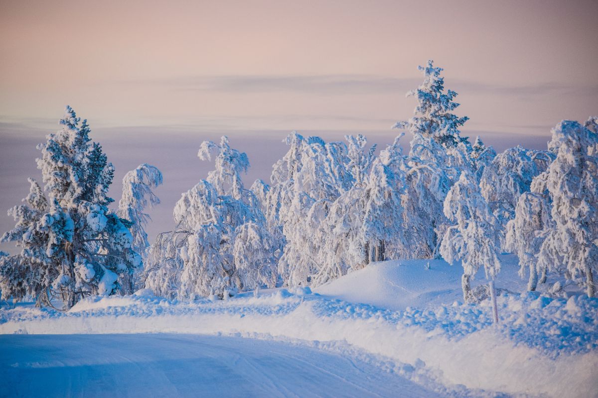 Les 5 meilleures destinations où aller en Laponie l’Hiver