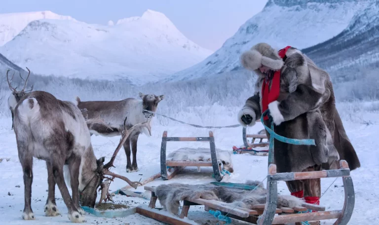 Hurtigruten : La Norvège à bord de L'Express Côtier :