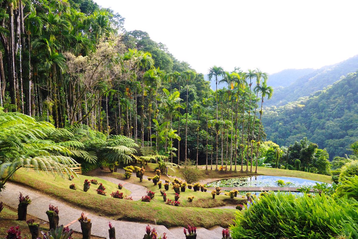 Jardin de Balata