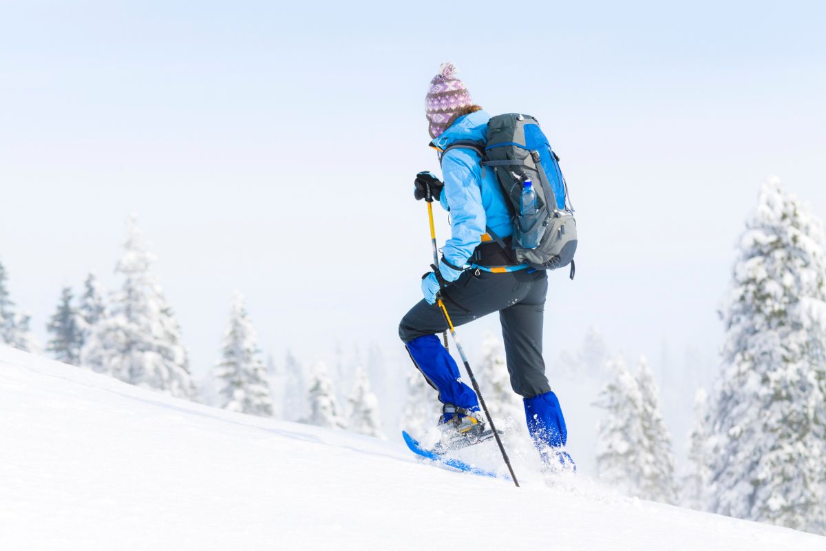 randonnées en raquettes lapland