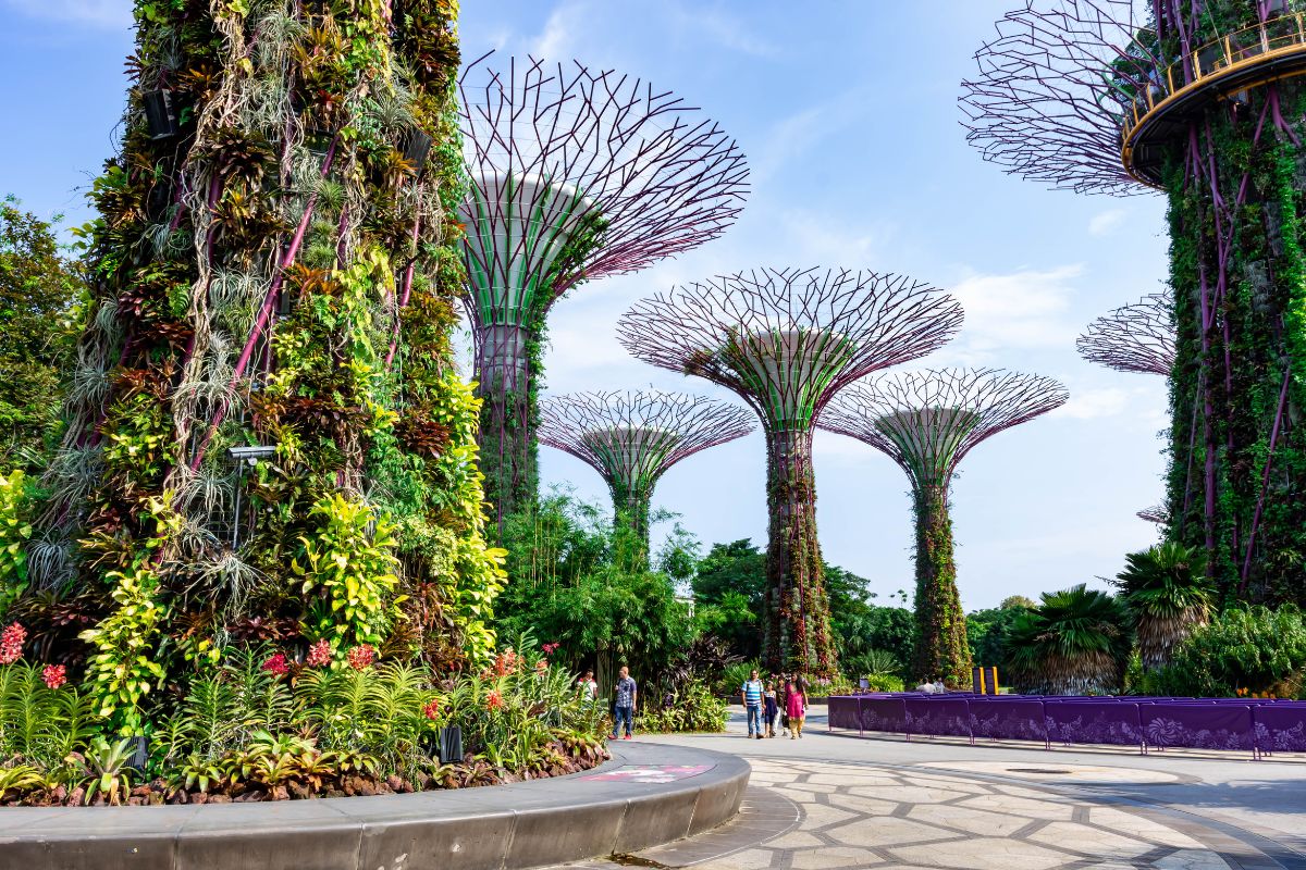 Passer une semaine à Singapour en famille : Que voir ?