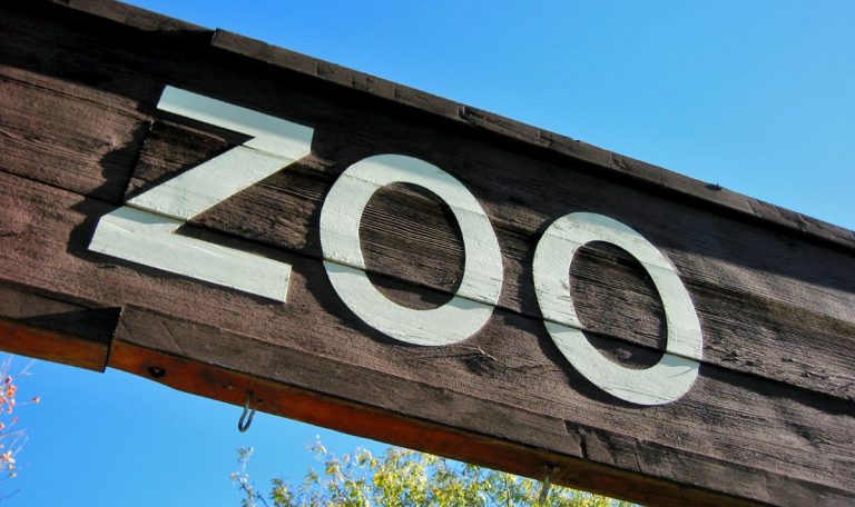 Zoo de La Flèche : Avis