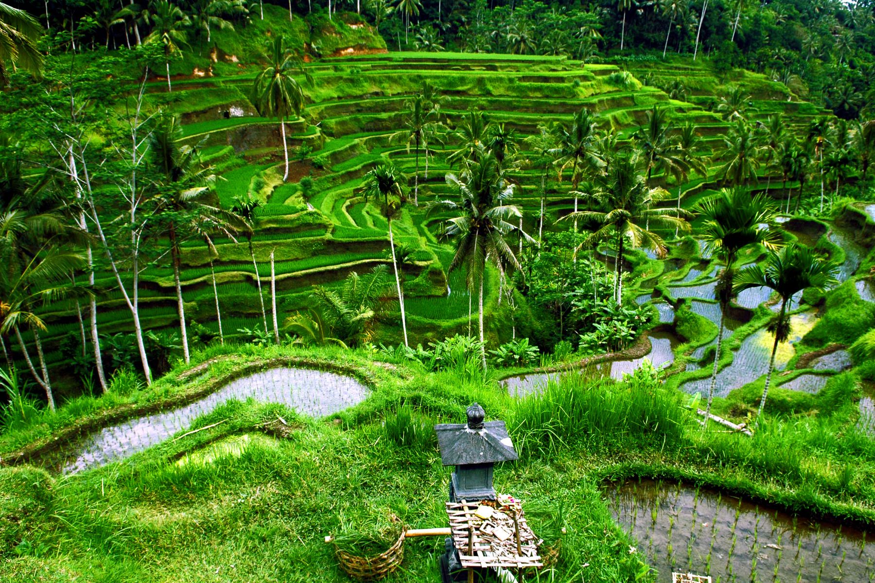 Bali au mois de Février : Quel avis ?