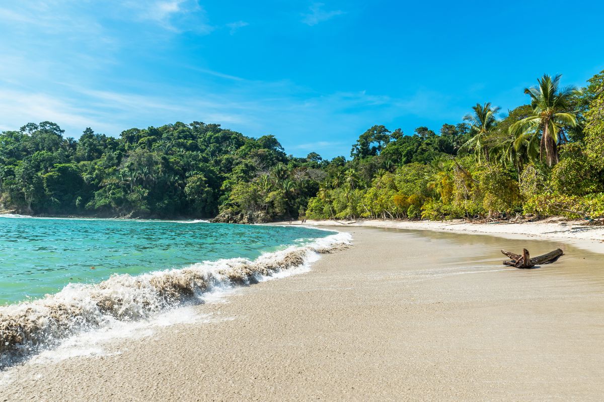 Les 5 meilleurs ecolodges du Costa Rica en 2025