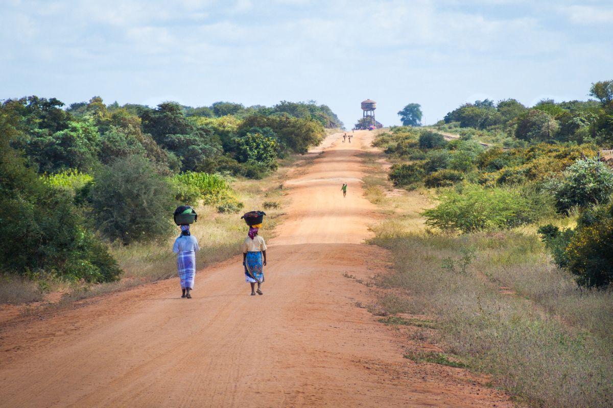 Safari en Mozambique : Guide & Conseils pour 2025