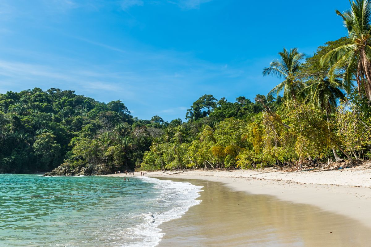 Les 5 meilleurs ecolodges du Costa Rica en 2025