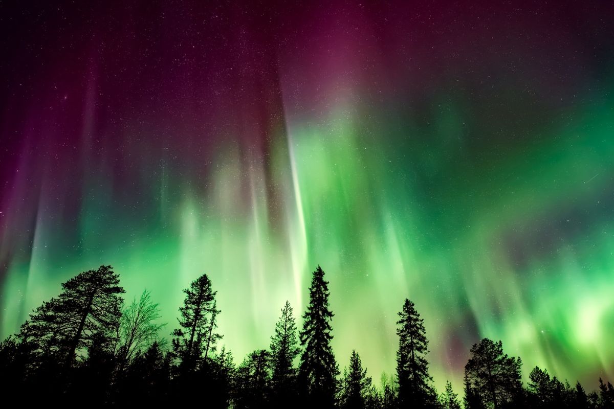 Comment aller voir les aurores boréales de Norvège ?