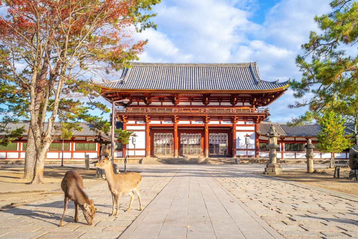 Passer une semaine au Japon en Famille : Le meilleur itinéraire de 2025