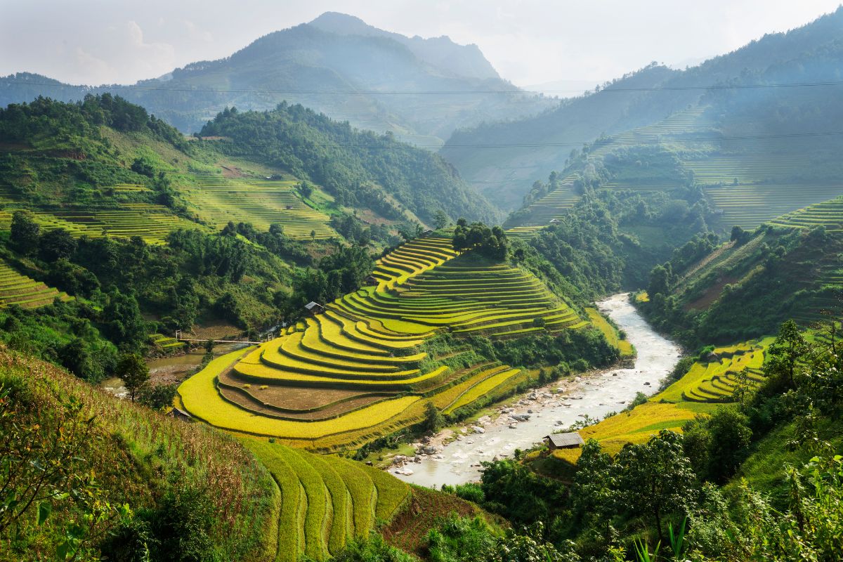 Itinéraire de 2 semaines au Vietnam : Le guide pour 2025