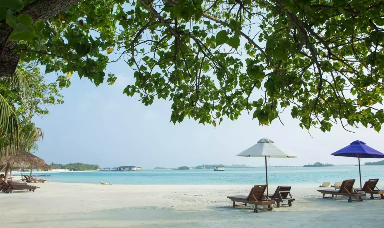 Cinnamon Dhonveli Maldives 4*