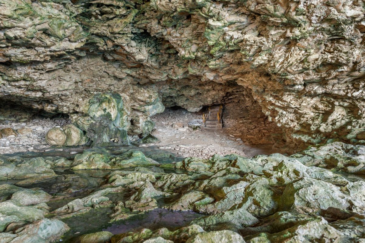 Animal Flower Cave