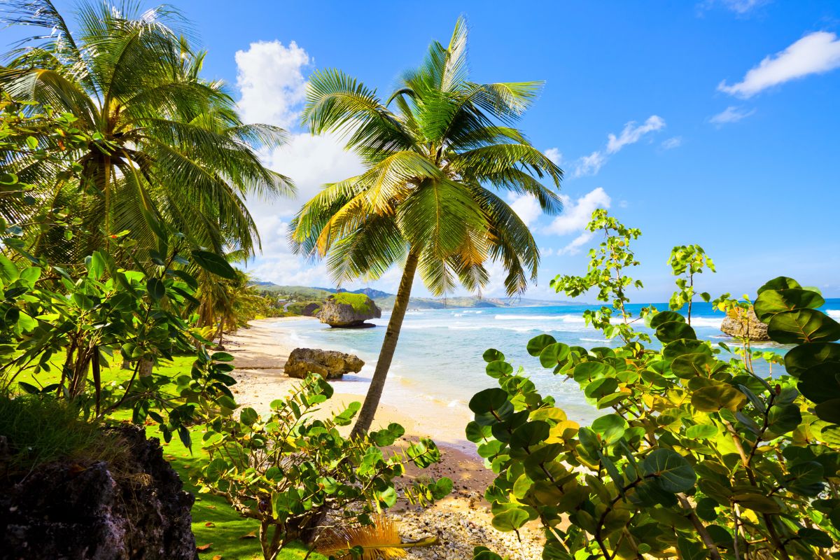 Bathsheba Beach