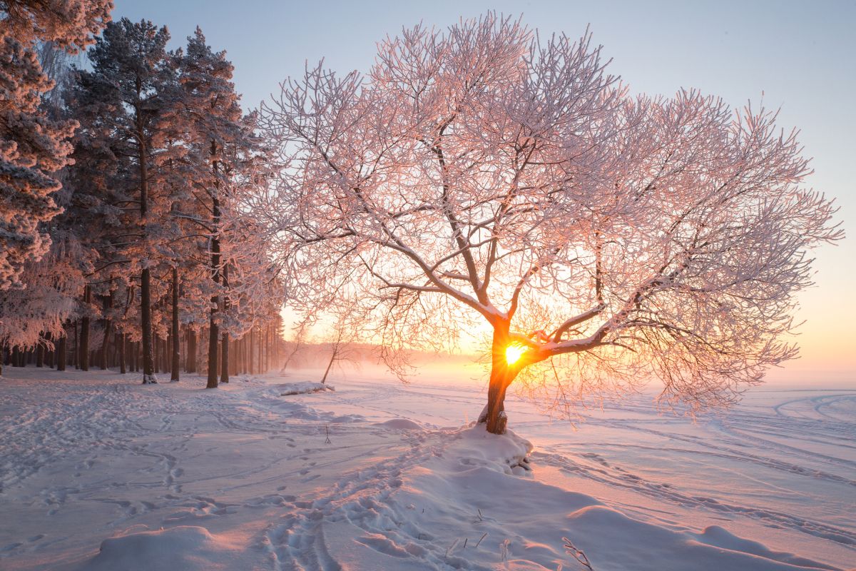 Neige paysage