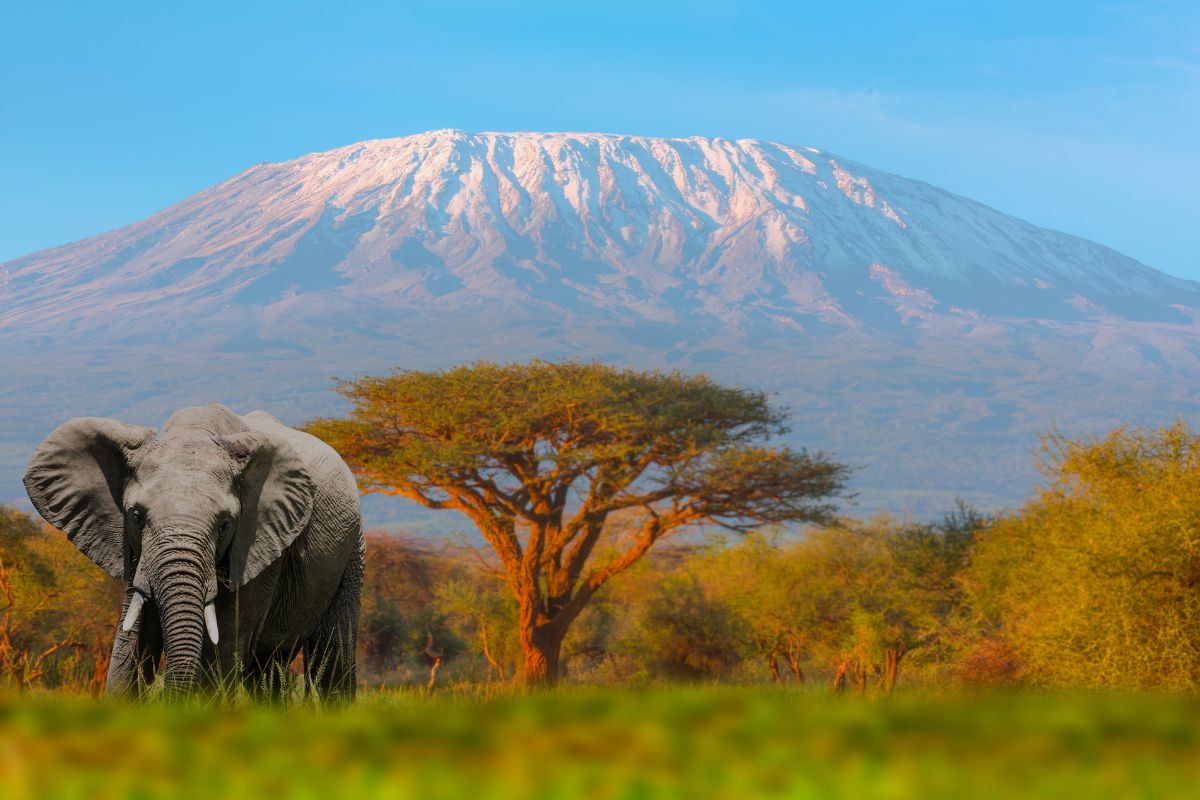 Pékin express en Tanzanie