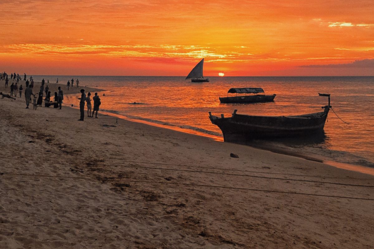 Quel prix pour un safari de 1 jour à Zanzibar ?