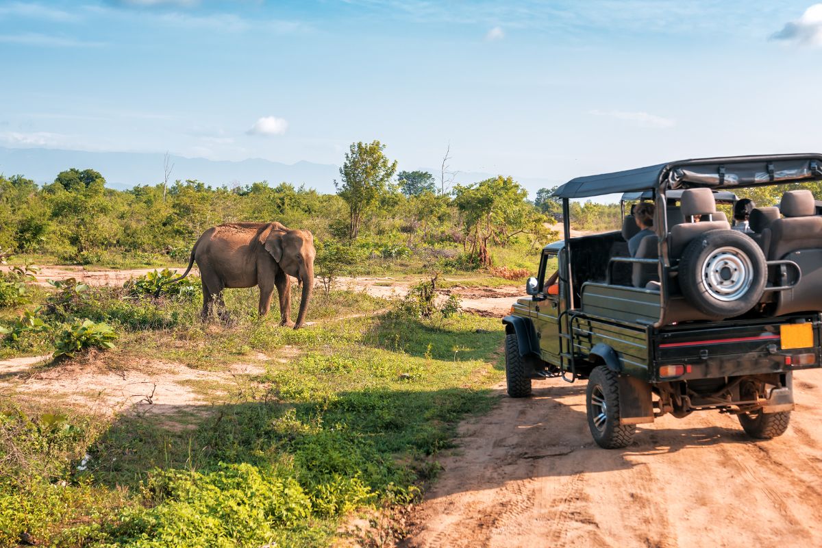 Quel prix pour un safari au Kenya de 10 jours ?