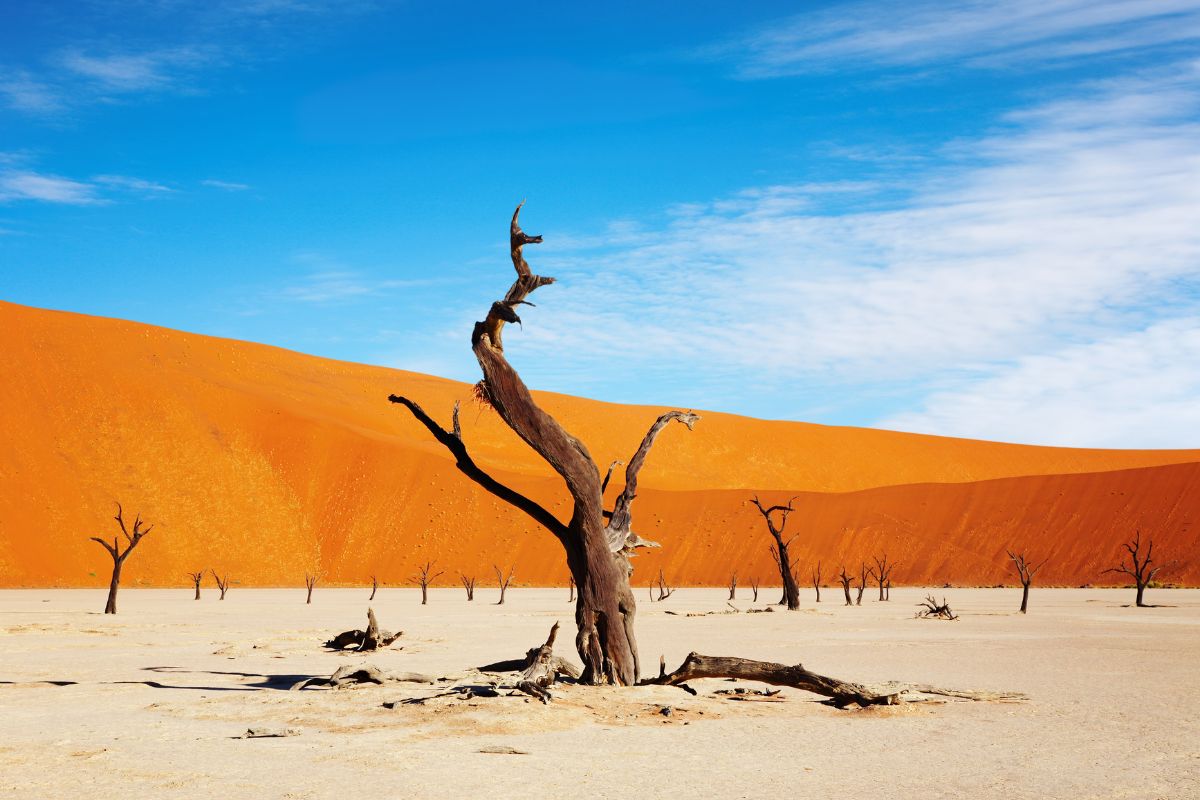 Ou faire une location 4x4 en Namibie ?