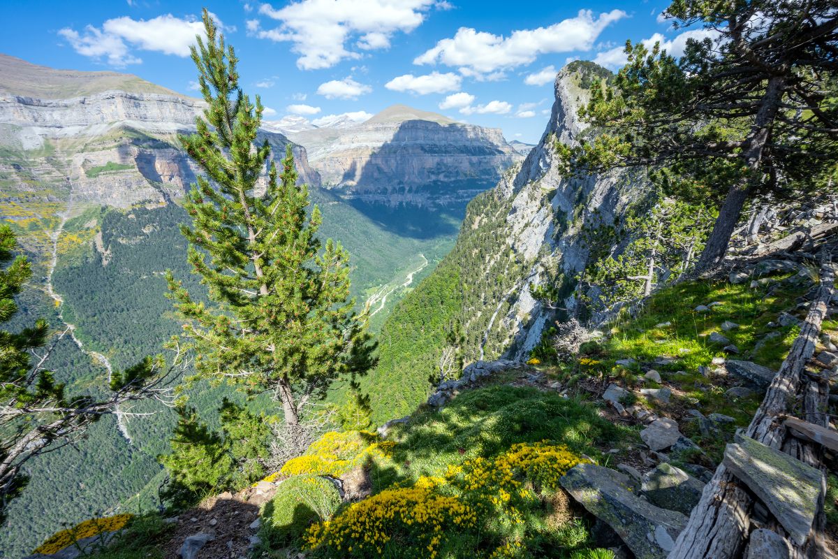 Les 8 plus beaux endroits où aller dans les Pyrénées l’été 2025