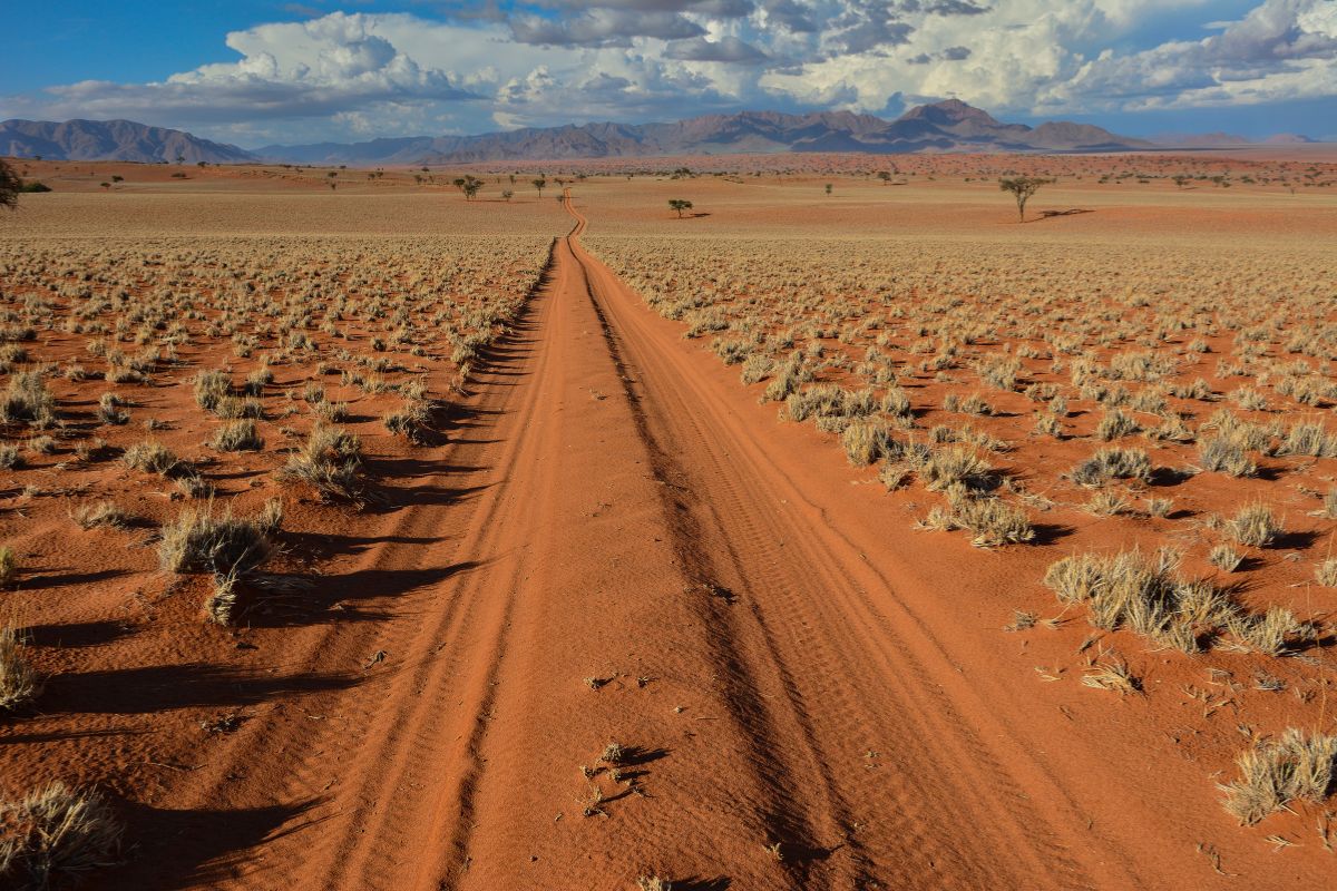 Ou faire une location 4x4 en Namibie ?