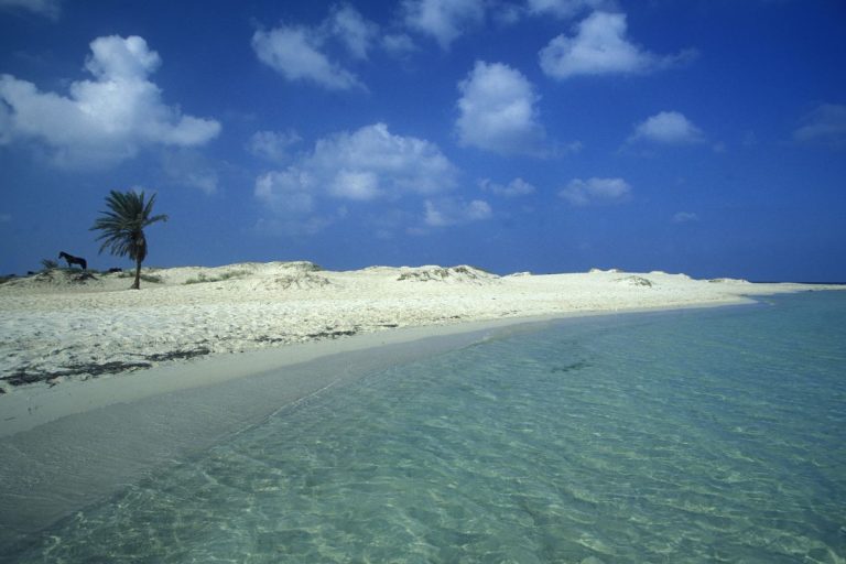 Quel avis pour un voyage en Avril à Djerba ?