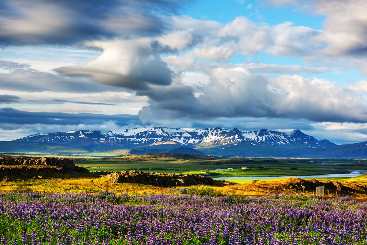 Islande en été