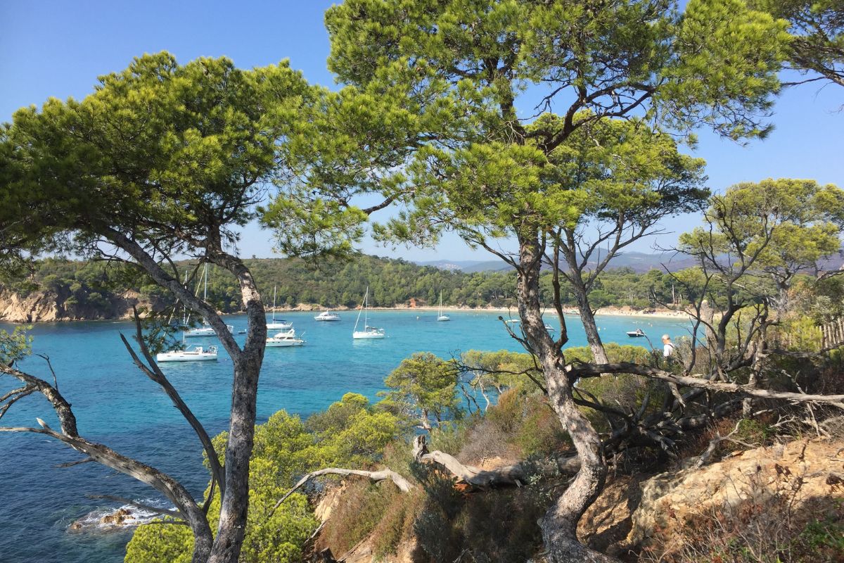 Port Cros ou Porquerolles : Quelle île faut-il choisir ?