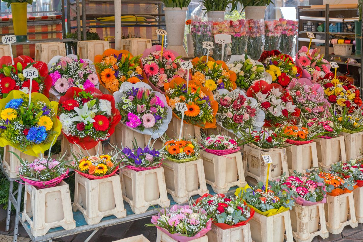 Marché aux fleurs à Nice : L’incontournable de 2025