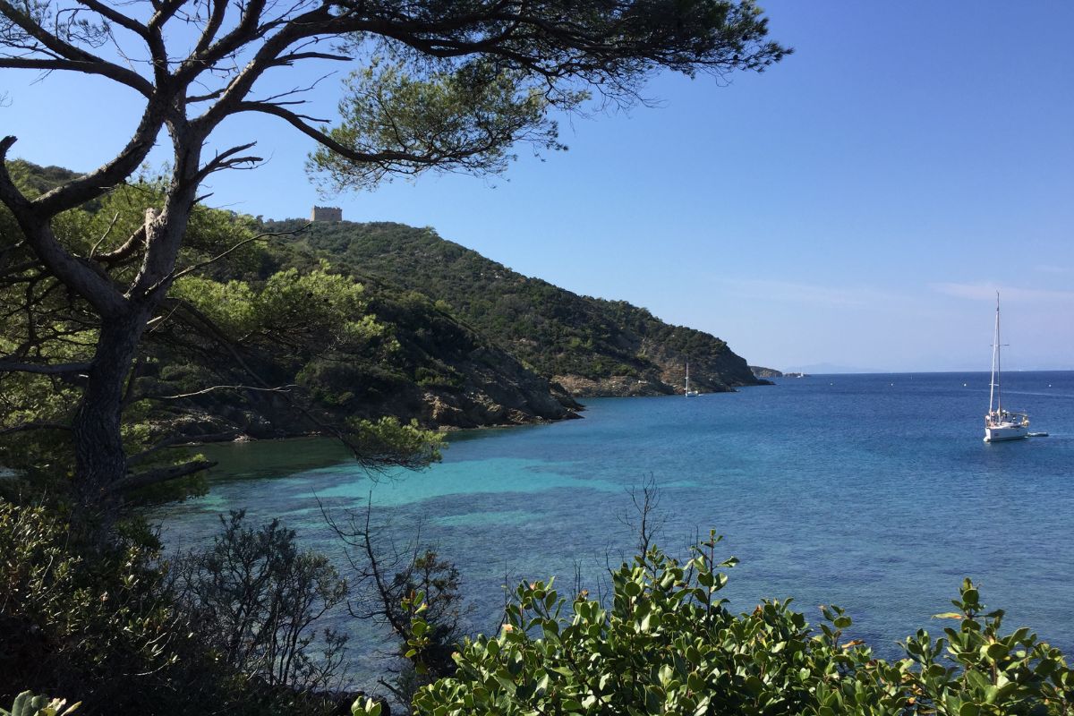 Port Cros ou Porquerolles : Quelle île faut-il choisir ?