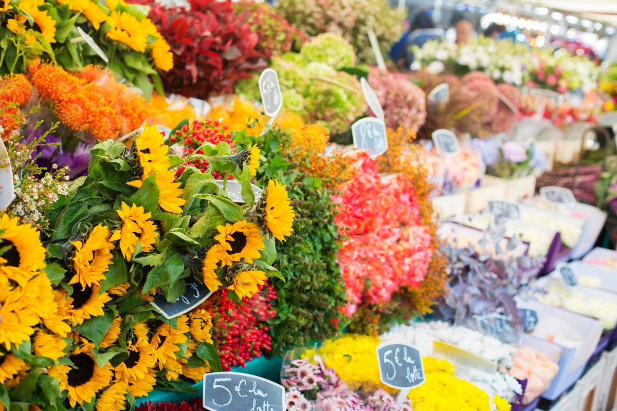 Marché aux fleurs à Nice : L’incontournable de 2025