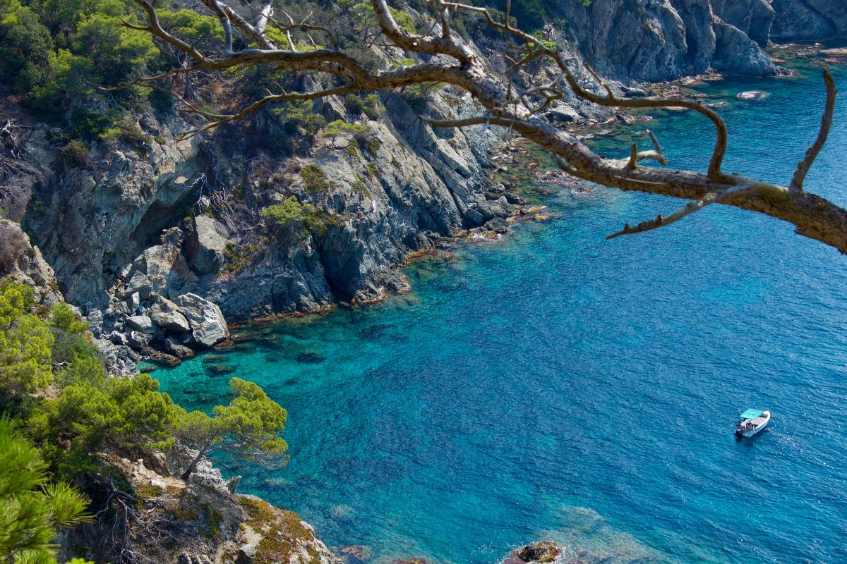 Port Cros ou Porquerolles : Quelle île faut-il choisir ?