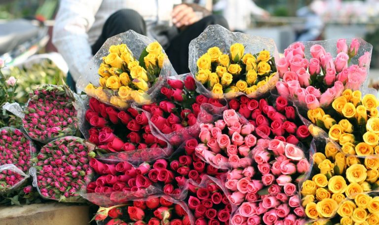 Marché aux fleurs à Nice : L’incontournable de 2025