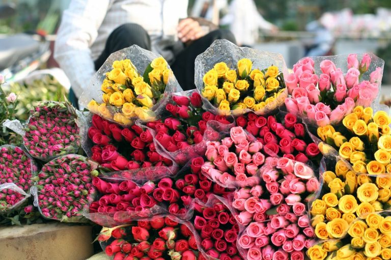 Marché aux fleurs à Nice : L’incontournable de 2025