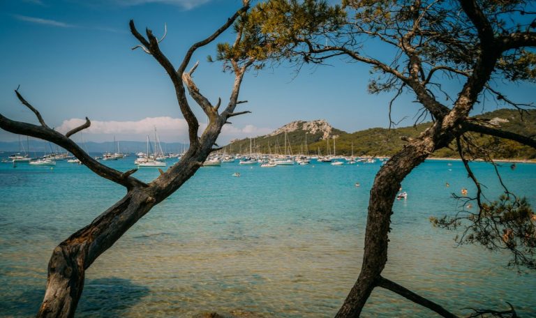 Port Cros ou Porquerolles : Quelle île faut-il choisir ?