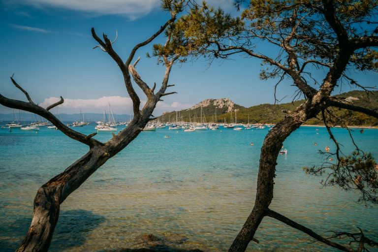 Port Cros ou Porquerolles : Quelle île faut-il choisir ?