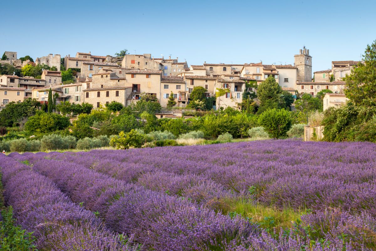 provence